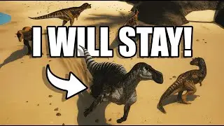 Beach Showdown 🏖️🦖 Maia vs. 4 Carnos - No Mercy! | The Isle Evrima
