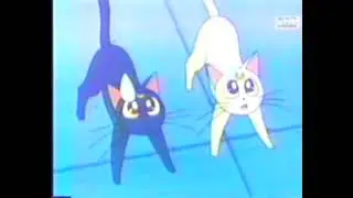 Sailor Moon VF: Bourdu invite les filles