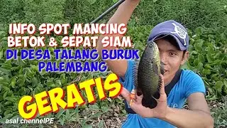 info spot mancing liar ikan betok dan sepat siam palembang kota, GERATIS