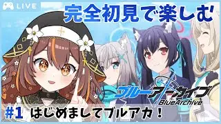 【#ブルーアーカイブ 】はじめてのブルアカやるよ！#1【#新人Vtuber】【#やすらぎこふぃん】