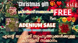 christmas gift 🎁 💕  free plants  🪴 @8547669938