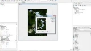 Delphi Timage