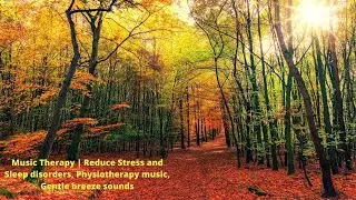 Music Therapy | Reduce Stress and Sleep disorders, Physiotherapy music, Gentle breeze sounds