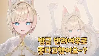 당신의 반려여우 [ ACAXIA - 류시호 ]