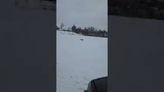 Ice Fishing 🎣 -4.below 🥶 temperature only in Michigan 💙🎣💙