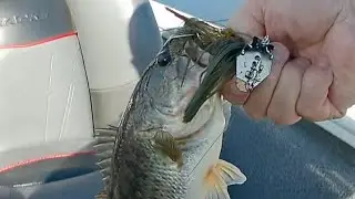 1st GEN Fishing Copperhead