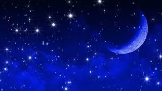 Guidad meditation f&ouml;r barn | Rufus m&ouml;ter M&aring;nsilverdalen ✨🦊