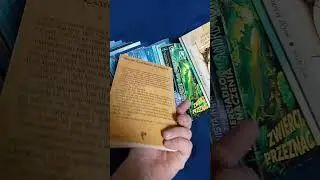 Andre Norton - Świat Czarownic