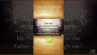 The Words of Jesus Christ are Life changing and Timeless | The Ultimate Relaxation for Mind and Body