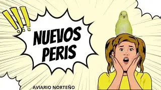 RESUMEN SEMANAL DEL AVIARIO Y&hellip;NUEVOS PERIS!!!