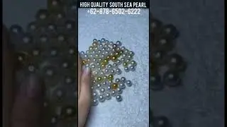 South sea pearl wholesale for more information click  
