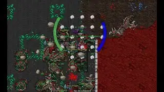 830 ED Solo Wardragons(Nimmersat) After Nerf 9kk raw/h