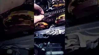 Stretched Timing Chain #shorts