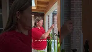 Als je vreemd bent gegaan