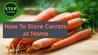 How To Store Carrots at Home
