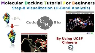 Molecular Docking  | Step-8 |Chimera | Visualization | Binding Affinity | Simulation