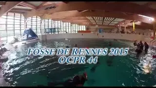 FOSSE DE RENNES 2016