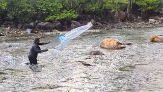 UNTOUCHED WATERS: EARLY SUMMER CAST NET FISHING IN A PRISTINE MOUNTAIN RIVER 🎣🎣🐟🐟