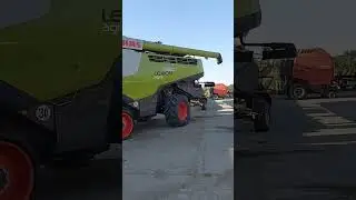 new ?!😳 Claas Lexion 780 TT  #farmlife #claas #harvest #harvester #sunset