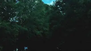 Early Morning Dream 2