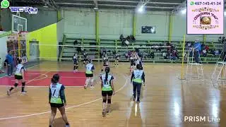 indomables vs metalicas