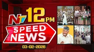 Speed News | 12 PM News Headlines | 03-02-2026 | NTV Telugu