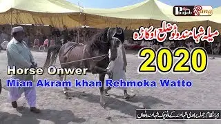 All Pakistan Horse Dance / 2 March 2020 / Shahmand Wala Okara-560