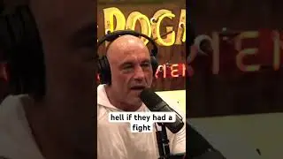 Joe Rogan on how MMA is the best form of martial arts