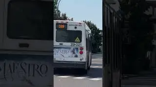 STM bus #29-021 on the 189 Notre-Dame #shorts