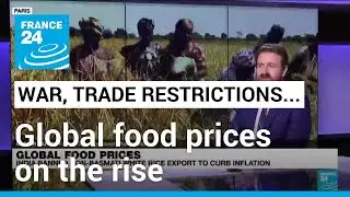 Global food prices on the rise as Russia ends grain deal, India bans rice &bull; FRANCE 24 English