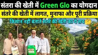 जादुई खाद से संतरे का उत्पादन हुआ दोगुना! | संतरे की वैज्ञानिक खेती और जादुई लिक्विड टॉनिक