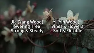 EP02: The 10 Heavenly Stems Explained | BaZi Five Elements Guide