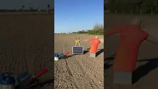 The Bird Alert warning sounds to scare off crows