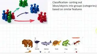 1 -  What is classification