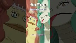 One Piece | The Battle on Amazon Lily