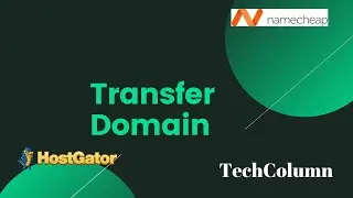 How to Transfer Domain From Hostgator to Namecheap? | Easy Domain Transfer Process