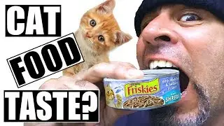 Does Cat Food Taste Good? | What Does Cat Food Taste Like?