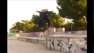 Skateparks Wildness 2012