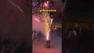 Diwali Celebration in Jersey City 2023 #shortvideo #shortsfeed #youtubeshorts #diwali #indian
