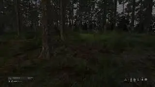 DayZ