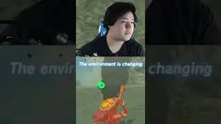 This Zelda Randomizer helped me!