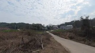 The countryside is beautiful, with roosters crowing and dogs barking, and it's very peaceful.