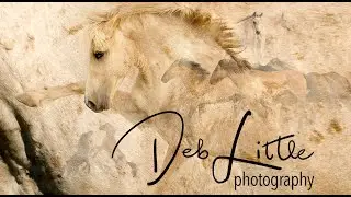 Adventure Awaits - Deb Little Photography
