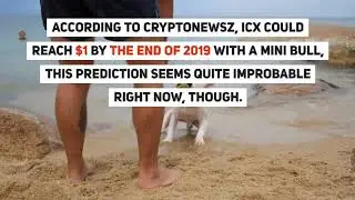 Realistic ICON Coin Price Prediction 2020 2021 2023 2024 by Whaleagent