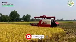 LOVOL combine harvester 💯|| Sree Ram Farm Equipments || LOVOL