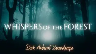 Whispers of the Forest Ambience and Music &ndash; deep textures and ambient music for a dark soundscape