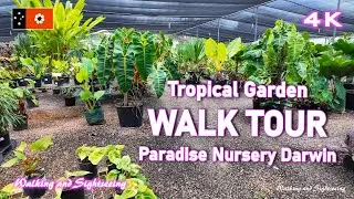 Paradise Nursery Darwin Walking Tour 🌴 Knuckey Lagoon Nature Walk 🌺 Northern Territory Australia 🌿