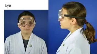 PPE for the Micro Lab