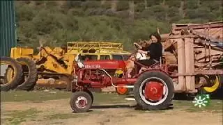 Tractores antiguos de colección: Asociación Andaluza de Amigos del Tractor Agrícola