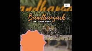 Unveiling the Hidden Gems of Madhya Pradesh: Top 5 Tourist Destinations#incredibleindia#HeartOfIndia